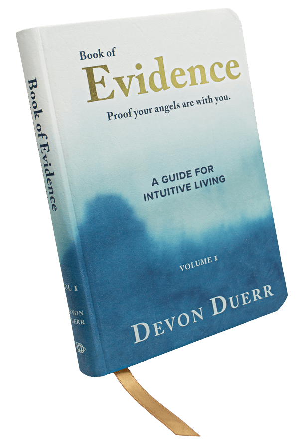 The Book of Evidence angled with the spine and cover showing