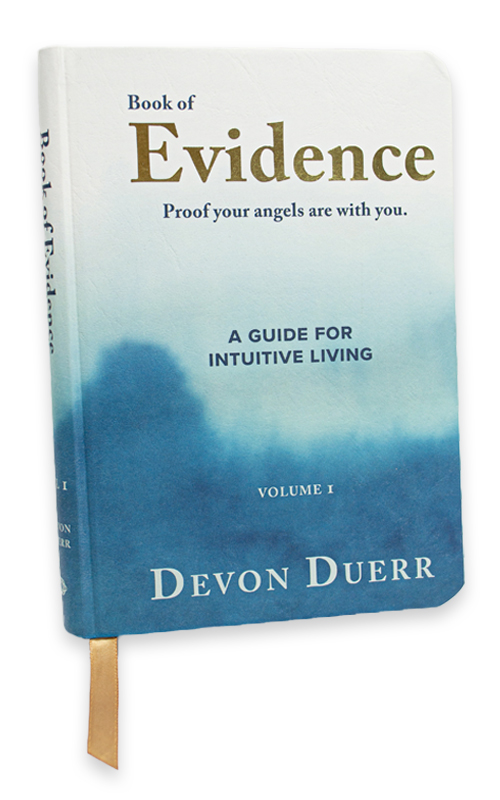 The book of evidence front cover